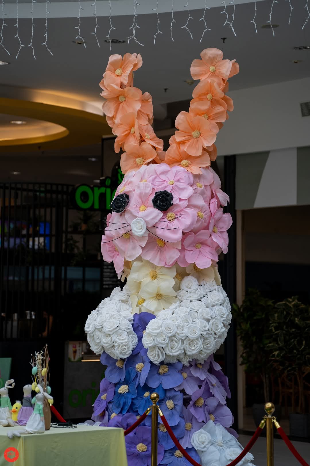 whatsapp image 2025 10 05 at 16.10.01 dffefe88