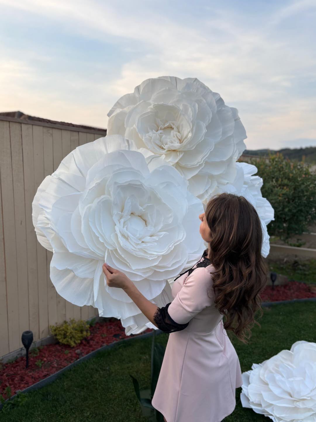 whatsapp image 2025 10 05 at 16.14.52 e7465c9b